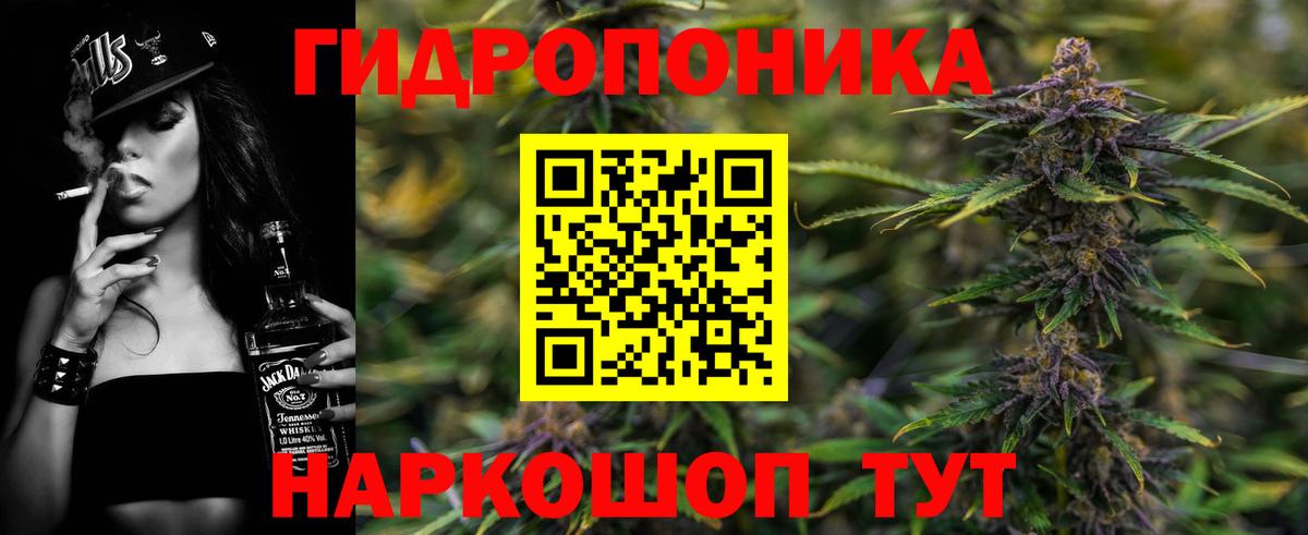 Бошки марихуана VHQ  Бошки марихуана индика  Конопля семена  Магадан  Бошки Шишки Bruce Banner  Вход с VPN 